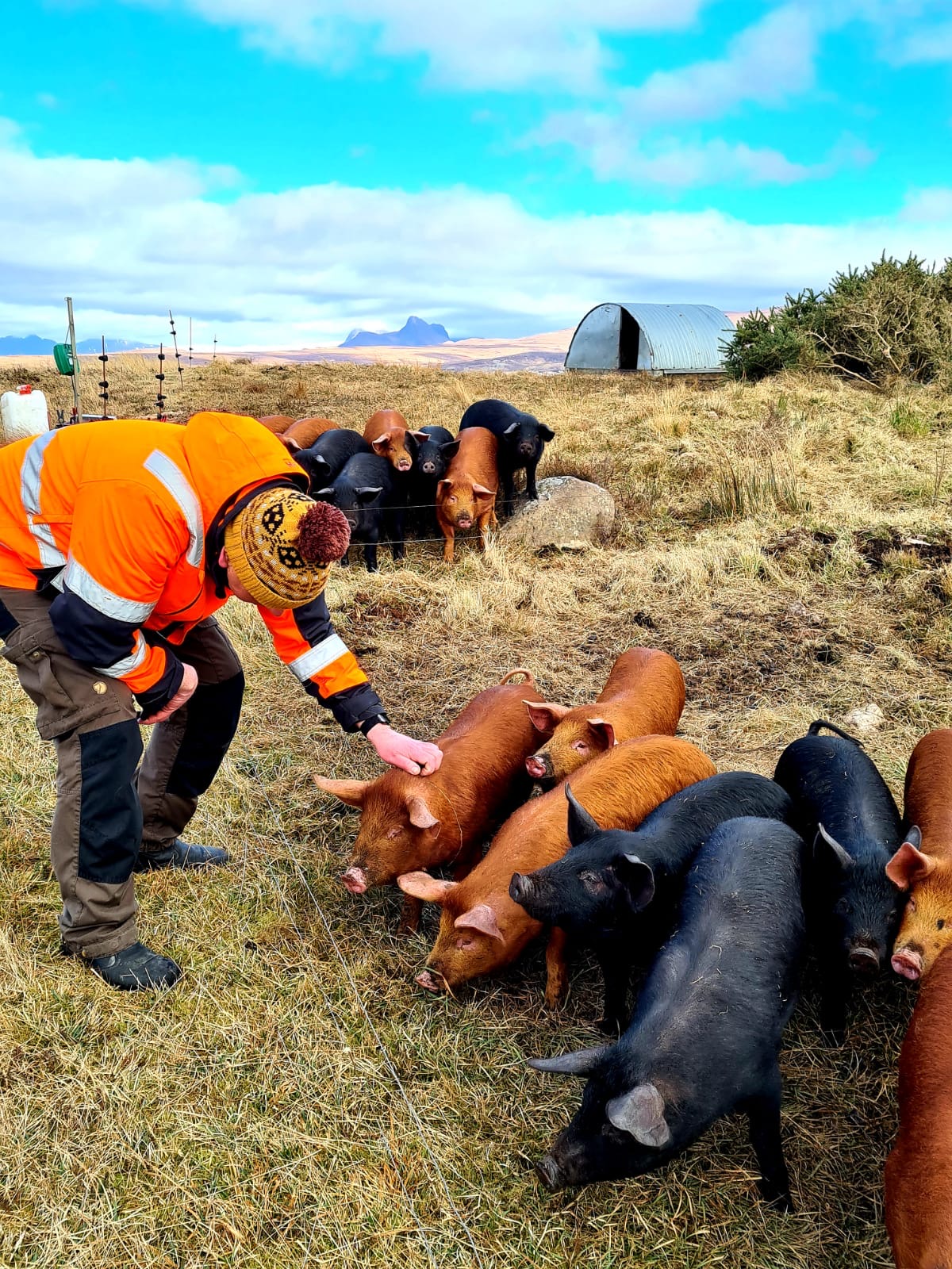 059ca681 c750 49dd a62e 615d7a7d4551