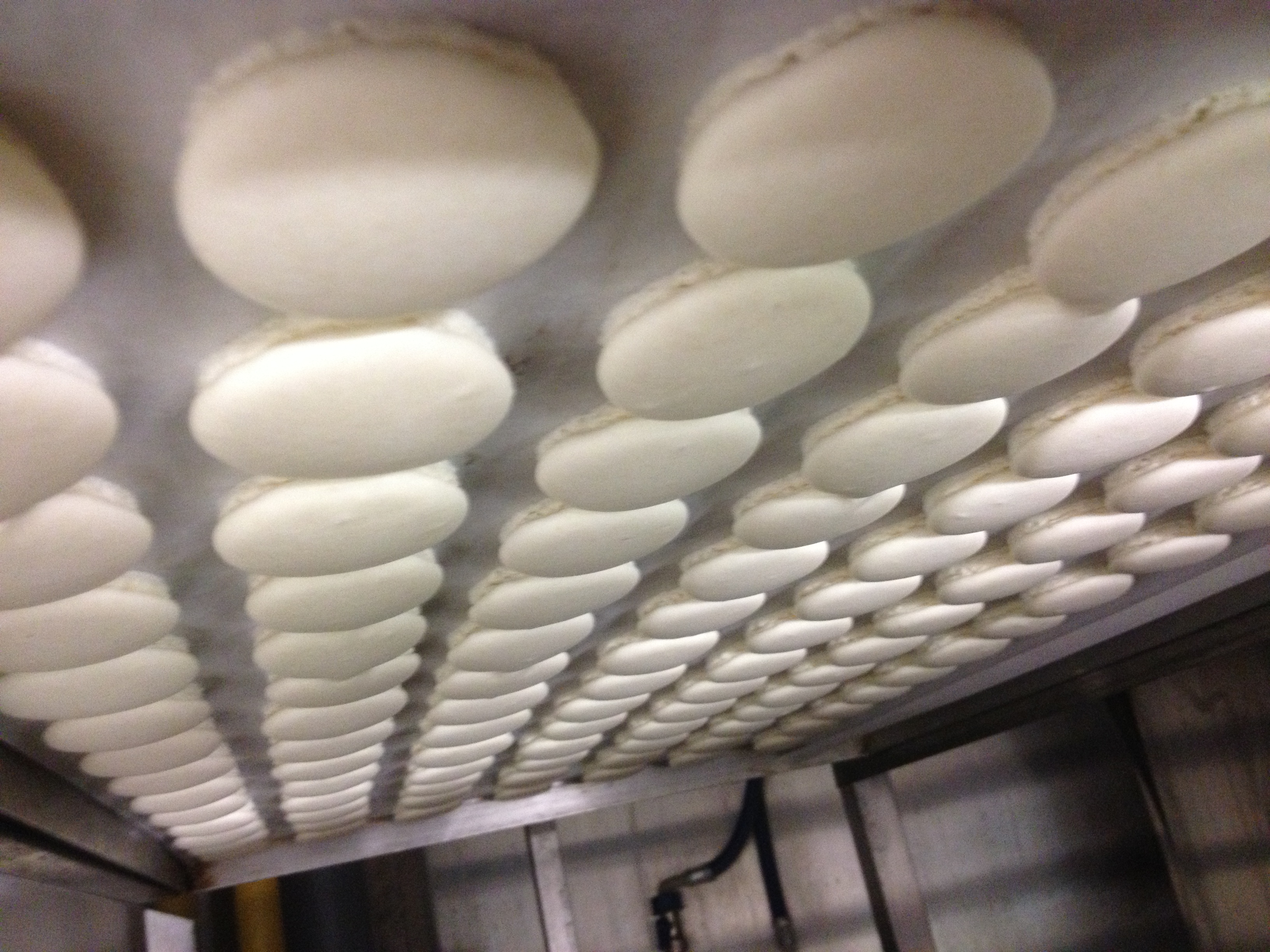 Macarons for petit fours